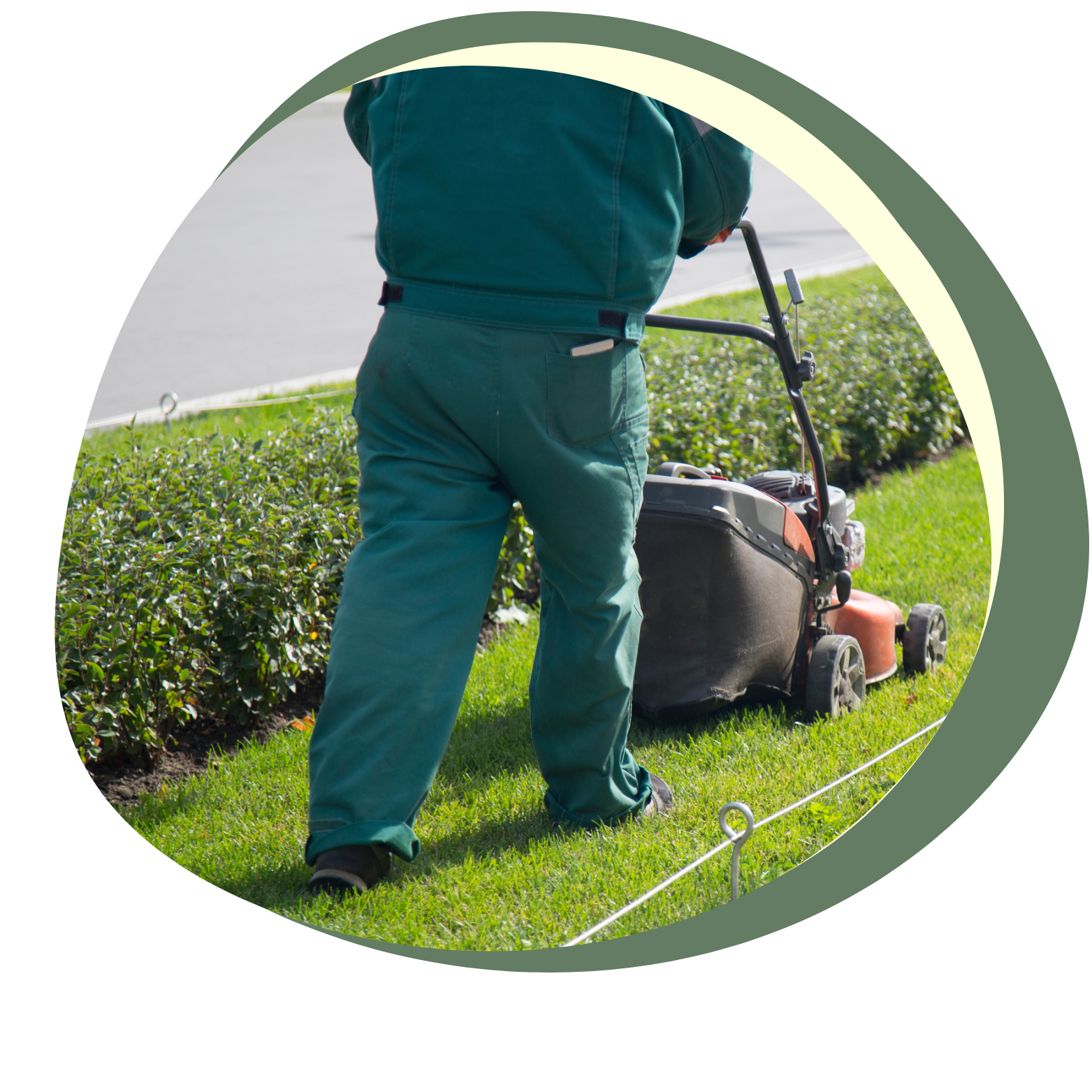 lawn-care